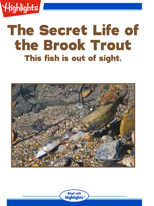 Title details for The Secret Life of the Brook Trout by Bob Michelson - Available